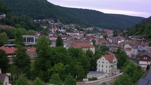 Webcam Bad Wildbad
