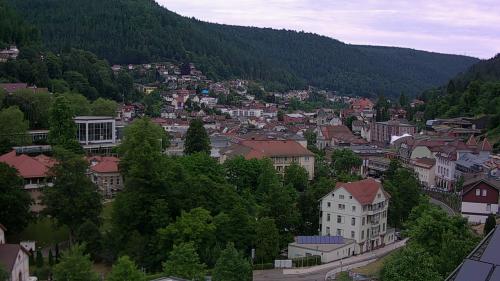 Webcam Bad Wildbad