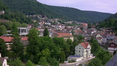 Webcam Bad Wildbad