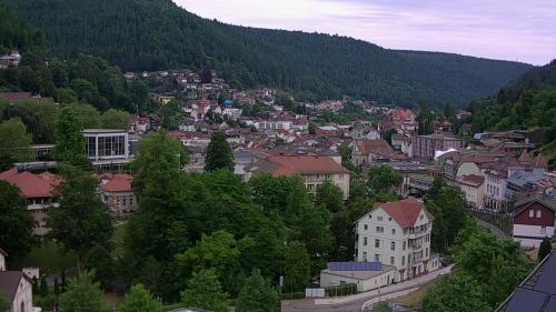 Webcam Bad Wildbad