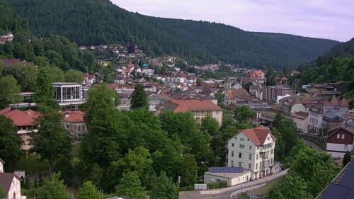Webcam Bad Wildbad