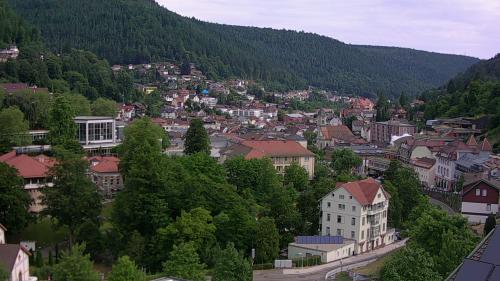 Webcam Bad Wildbad