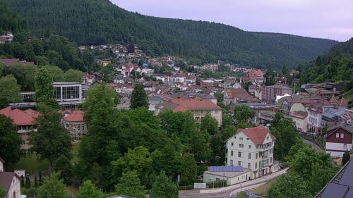 Webcam Bad Wildbad