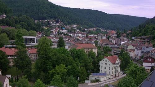 Webcam Bad Wildbad