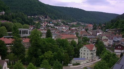 Webcam Bad Wildbad