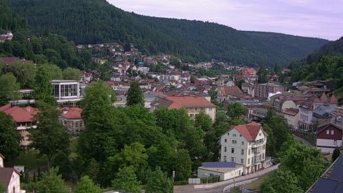 Webcam Bad Wildbad