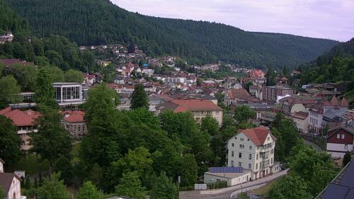 Webcam Bad Wildbad