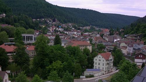 Webcam Bad Wildbad