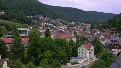Webcam Bad Wildbad