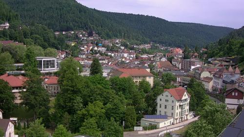 Webcam Bad Wildbad