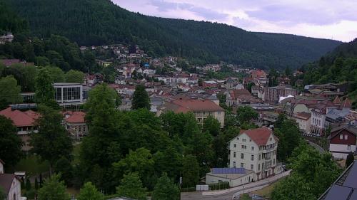 Webcam Bad Wildbad
