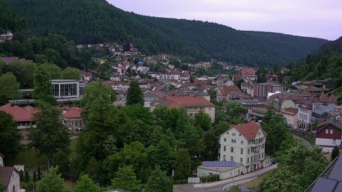 Webcam Bad Wildbad