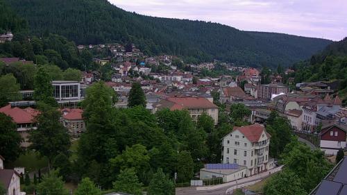 Webcam Bad Wildbad