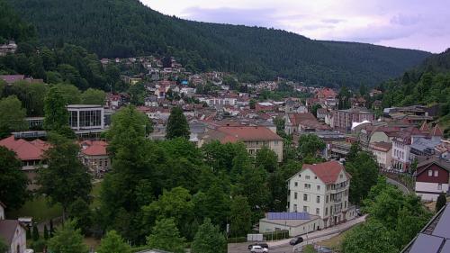 Webcam Bad Wildbad