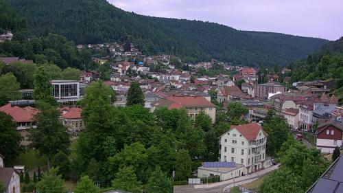 Webcam Bad Wildbad