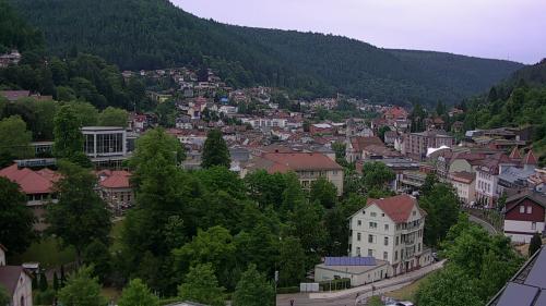 Webcam Bad Wildbad