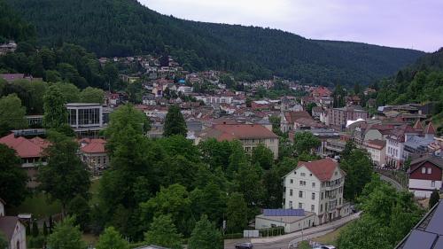 Webcam Bad Wildbad