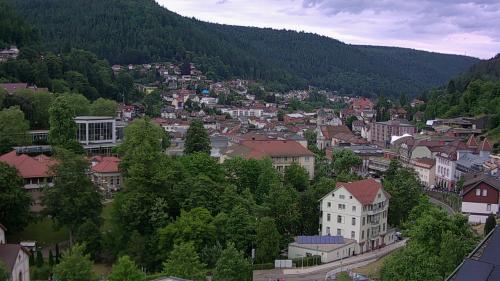 Webcam Bad Wildbad