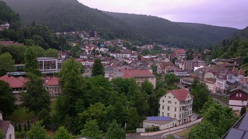 Webcam Bad Wildbad