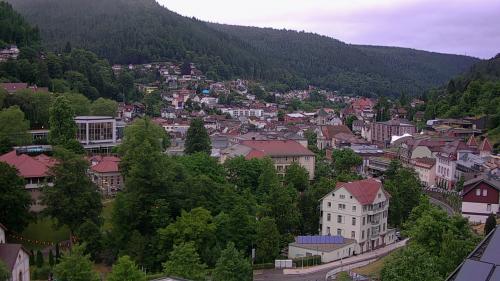 Webcam Bad Wildbad