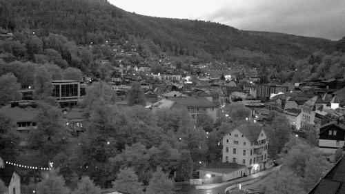 Webcam Bad Wildbad