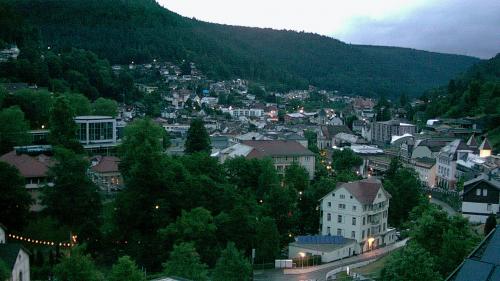 Webcam Bad Wildbad