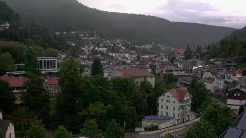 Webcam Bad Wildbad