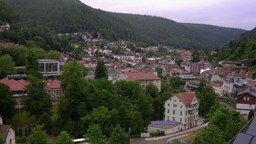 Webcam Bad Wildbad