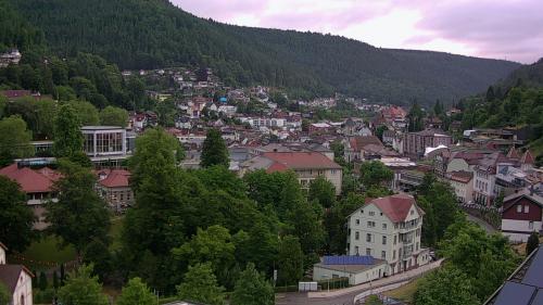 Webcam Bad Wildbad