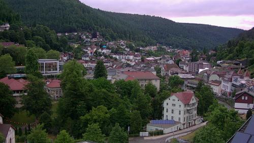 Webcam Bad Wildbad