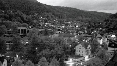 Webcam Bad Wildbad