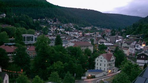 Webcam Bad Wildbad