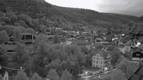 Webcam Bad Wildbad