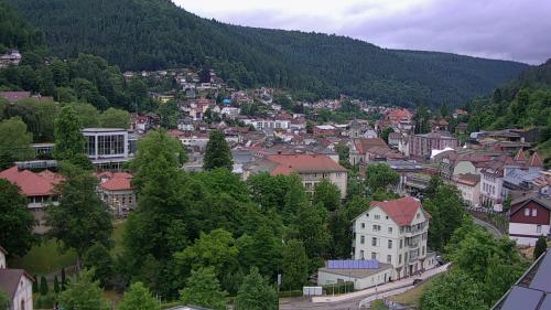 Webcam Bad Wildbad