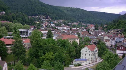 Webcam Bad Wildbad