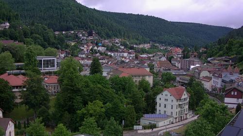 Webcam Bad Wildbad