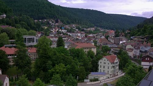 Webcam Bad Wildbad