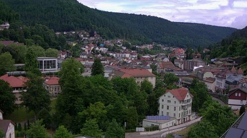 Webcam Bad Wildbad