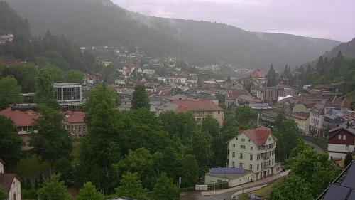 Webcam Bad Wildbad