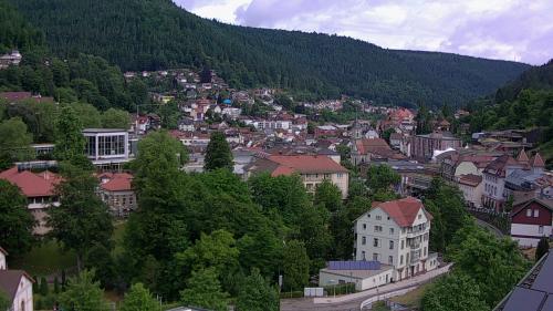 Webcam Bad Wildbad