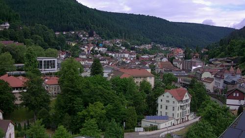 Webcam Bad Wildbad