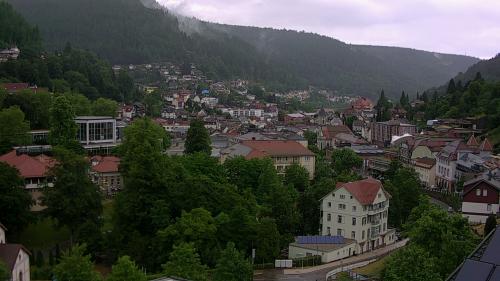 Webcam Bad Wildbad