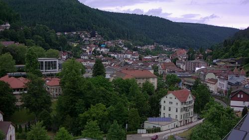 Webcam Bad Wildbad