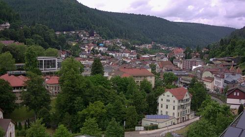 Webcam Bad Wildbad