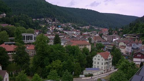 Webcam Bad Wildbad