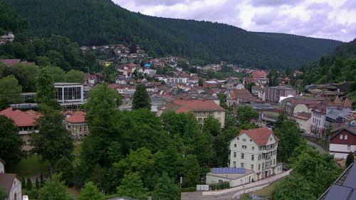 Webcam Bad Wildbad