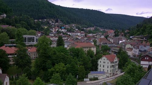 Webcam Bad Wildbad