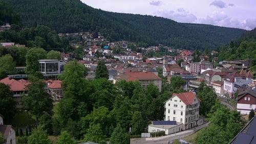 Webcam Bad Wildbad