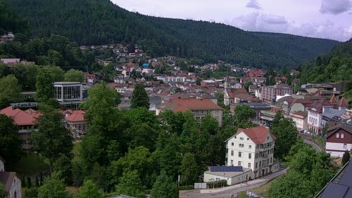 Webcam Bad Wildbad