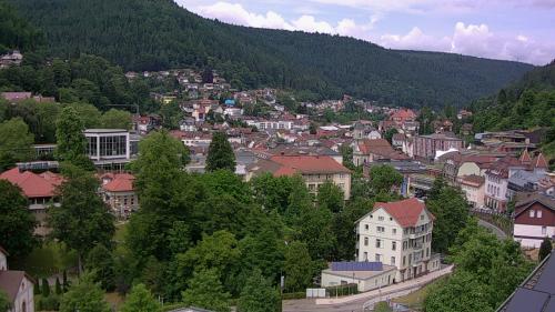 Webcam Bad Wildbad